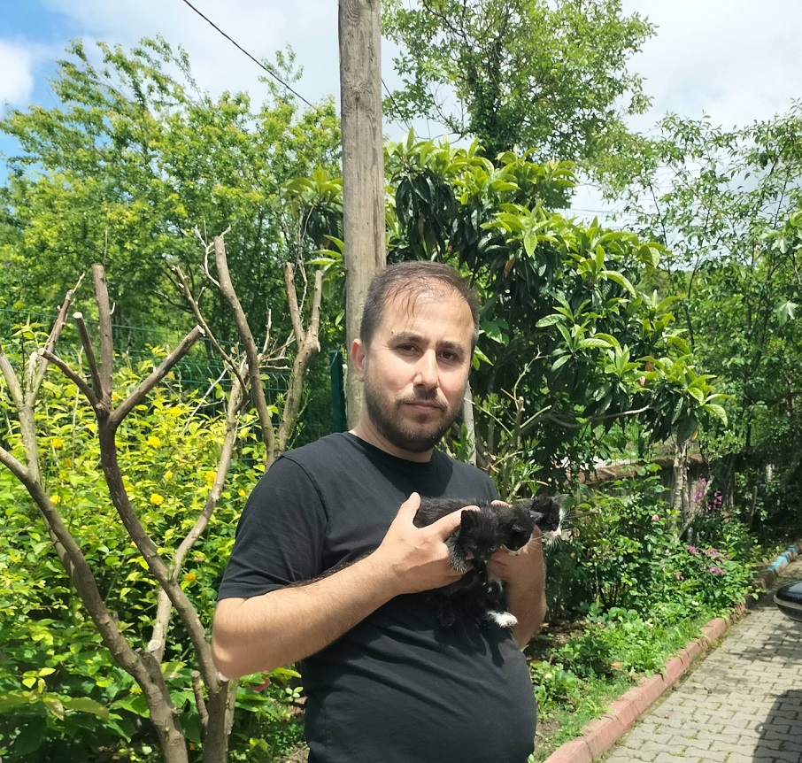 Muhtardan Yavru Kedilere Şefkat