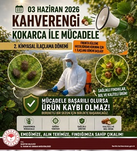 Fındıkta İlaçlama Zamanı